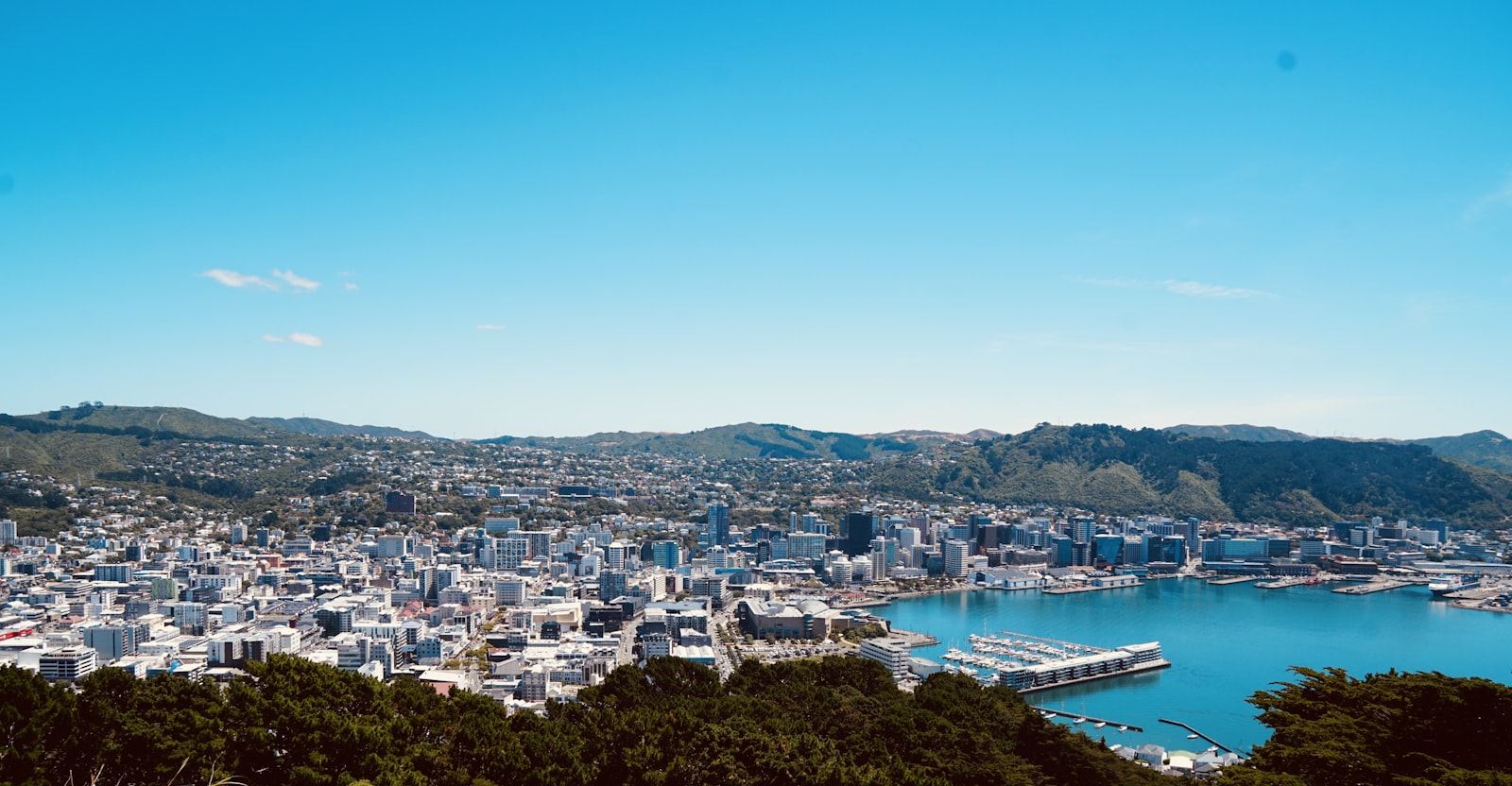 Wellington city and harbour from Mount Victoria on a clear day, green hills surrounding the central city